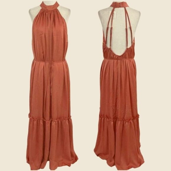 One One Six Dresses & Skirts - Rust Halter Maxi Dress with Open Back